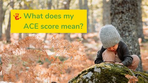 ace test score explained